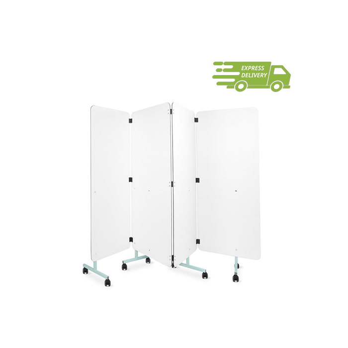MS/S4