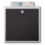 Flat Scale - Mother & Child Function